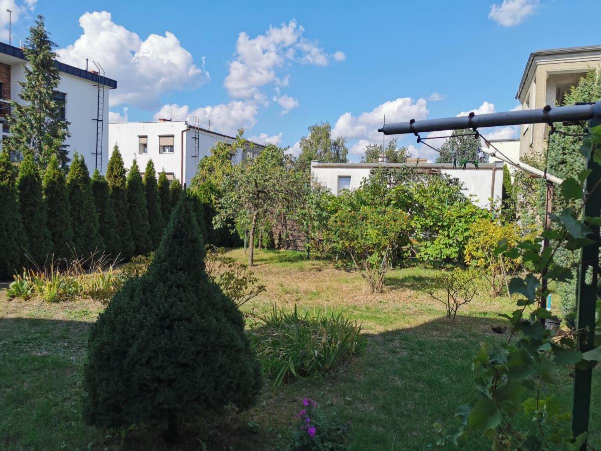 Novinea Z Balkonem I Ogrodem